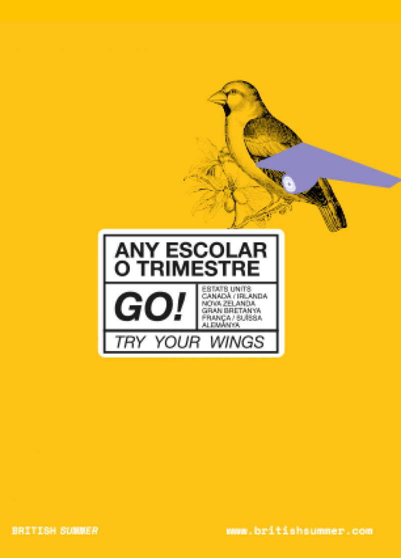 Any i trimestre 2026-27