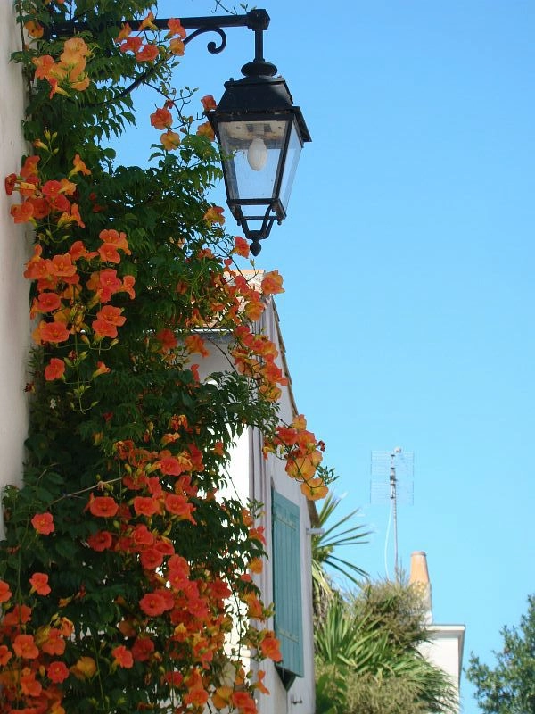 La-Rochelle-estudiar-ingles-en-el-extranjero-british-summer-c27.webp