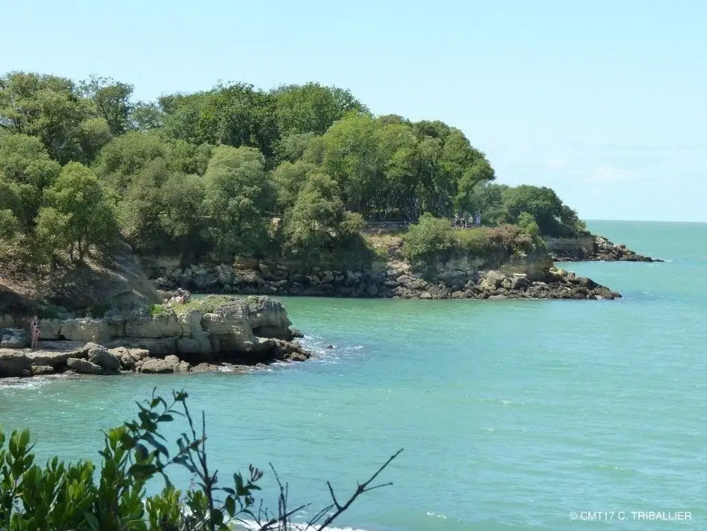 La-Rochelle-estudiar-ingles-en-el-extranjero-british-summer-c6.webp