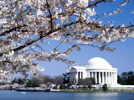 1386171094jefferson-memorial-washington-dcjpg.jpg