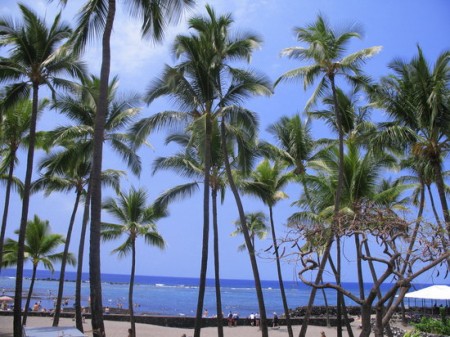 hawaii-icc.jpg