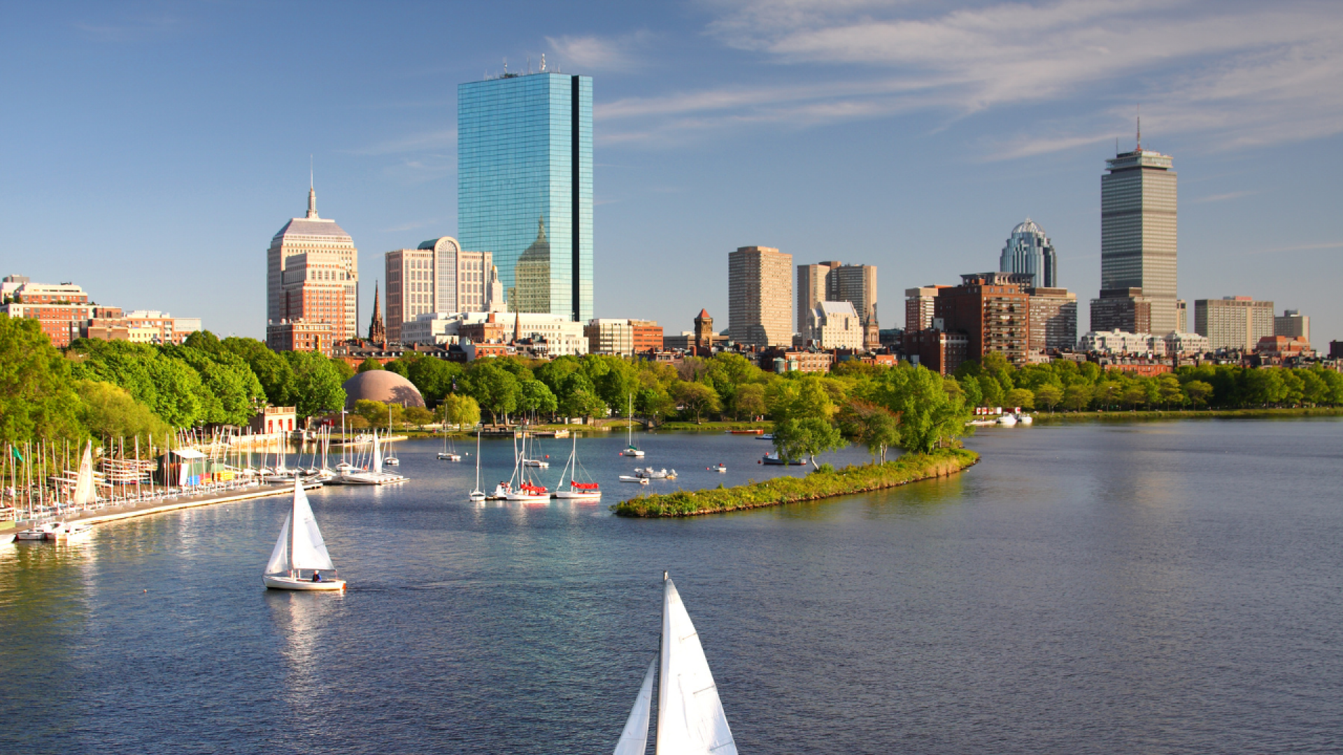 Gap Year - Boston