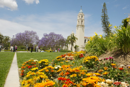 flowers-on-usd-pathway.jpg